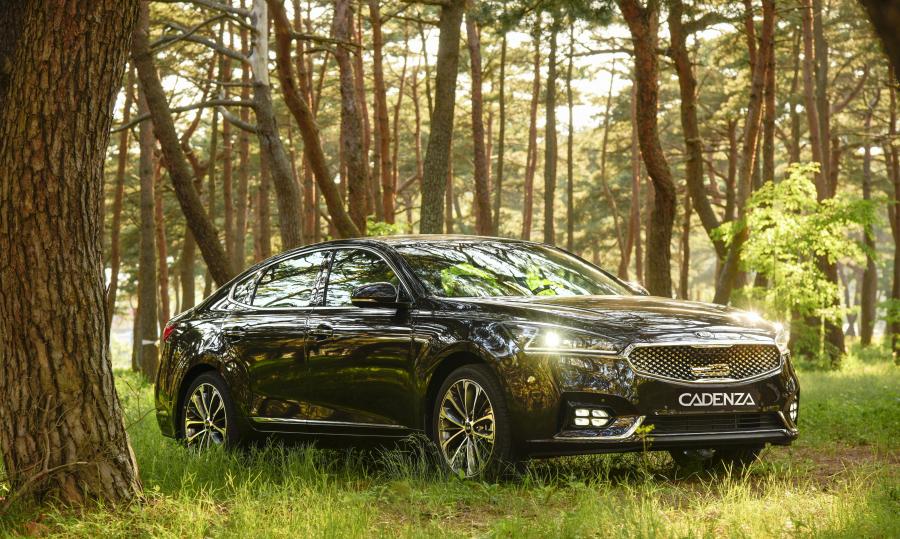  Kia Cadenza 2016 года  (фото 15 из 24)